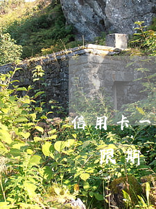 信用卡一般分期幾天算逾期(分期的信用卡有寬限期嗎)