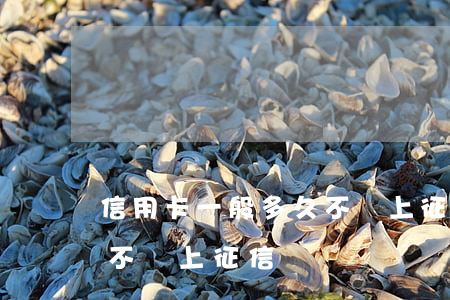 信用卡一般多久不還上征信(忘記還信用卡會不會上征信)