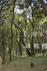 信用卡一般透支多久還款(信用卡透支完了,可以慢慢還嗎?)