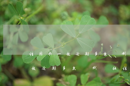 信用卡一般逾期多久會影響征信-信用卡一般逾期多久會影響征信記錄