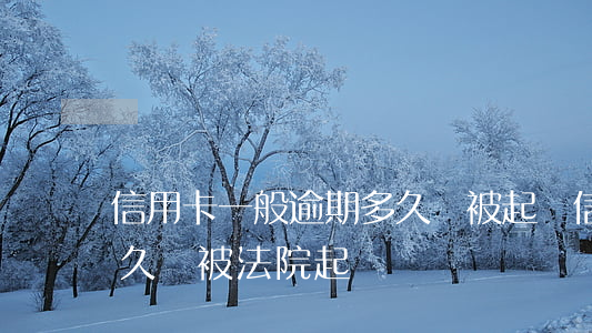 信用卡一般逾期多久會被起訴(信用卡逾期多久會被法院起訴)