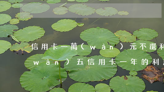 信用卡一萬(wàn)元不還利息6(二萬(wàn)五信用卡一年的利息)