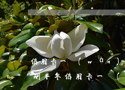 信用卡一萬(wàn)塊錢(qián)逾期半年(信用卡一萬(wàn)塊錢(qián)逾期半年)