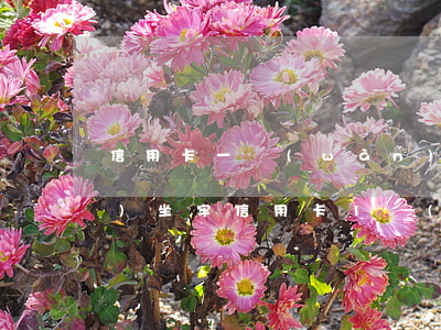 信用卡一萬(wàn)逾期一年會(huì)坐牢(信用卡1萬(wàn)以下逾期會(huì)坐牢嗎)