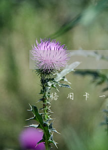信用卡一萬(wàn)逾期了一年多