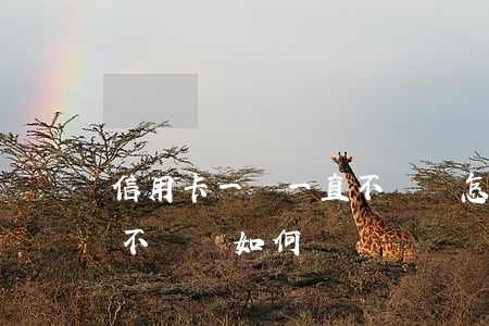 信用卡一萬一直不還會怎樣(信用卡1萬以下不還會如何)