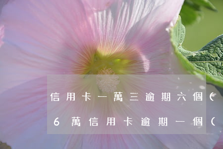 信用卡一萬三逾期六個(gè)月利息七千 6萬信用卡逾期一個(gè)月利息