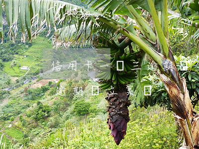 信用卡一萬三逾期會坐牢嗎(3萬以下信用卡逾期會立案嗎?)