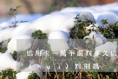 信用卡一萬不還判多久(信用卡一年多不還會(huì)判刑嗎)
