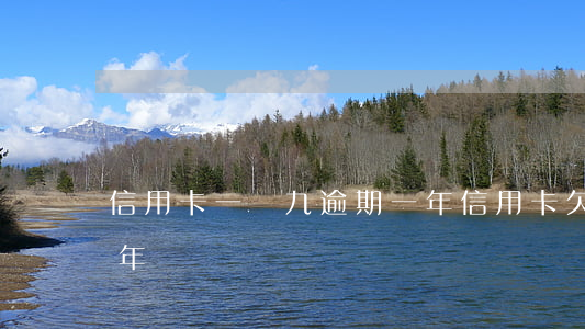信用卡一萬九逾期一年(信用卡欠九千逾期1年)