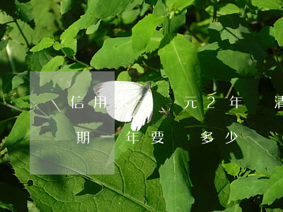 信用卡一萬元2年還清行嗎(信用卡二萬元逾期一年要還多少)