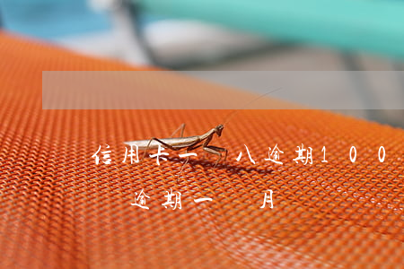 信用卡一萬八逾期100天(信用卡1000塊逾期一個月)