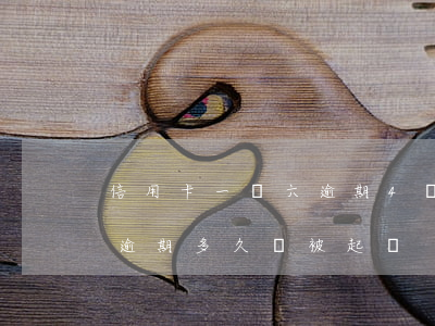 信用卡一萬六逾期4個月被起訴(信用卡6萬逾期多久會被起訴)