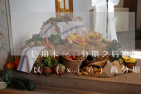 信用卡一萬分期之后逾期(信用卡逾期一萬可以協(xié)商分期嗎)
