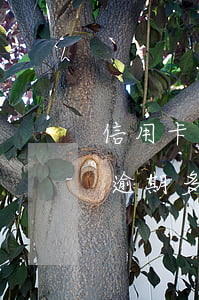 信用卡一萬塊逾期12368(信用卡一萬塊逾期多久會被起訴?)