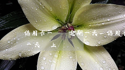 信用卡一萬塊逾期一天-信用卡一萬塊逾期一天會上門嗎
