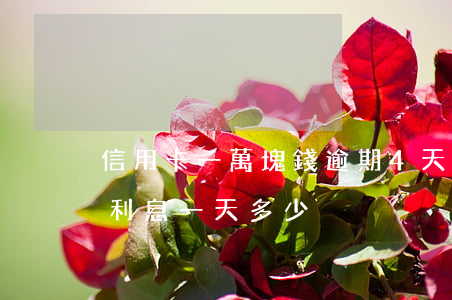 信用卡一萬塊錢逾期4天(信用卡2萬塊逾期利息一天多少)