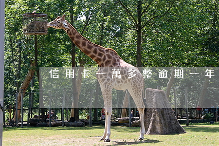 信用卡一萬多整逾期一年會坐牢嗎