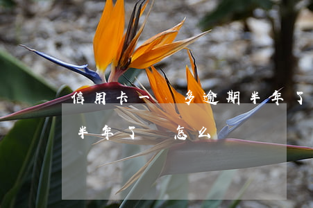 信用卡一萬多逾期半年了(信用卡一萬多逾期半年了會怎么樣)