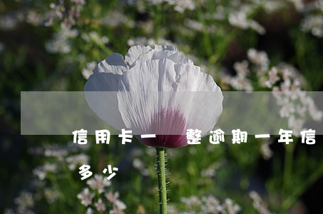 信用卡一萬整逾期一年(信用卡1萬逾期一天多少錢)