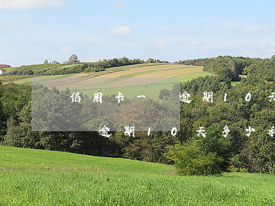 信用卡一萬逾期10天多少利息-信用卡一萬逾期10天多少利息啊