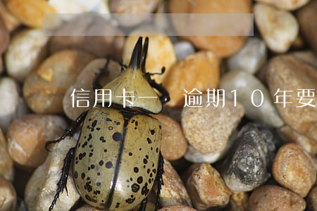 信用卡一萬逾期10年要多少錢-