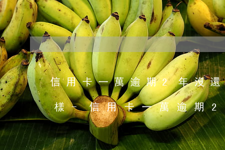 信用卡一萬逾期2年沒還會(huì)怎么樣-信用卡一萬逾期2年沒還會(huì)怎么樣嗎