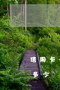 信用卡一萬逾期3年(信用卡一萬逾期3年還多少錢)