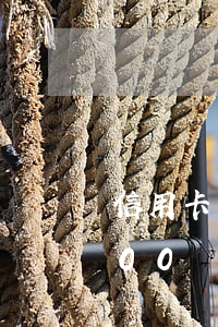 信用卡一萬逾期8年利息多少-信用卡1000塊逾期八年還多少