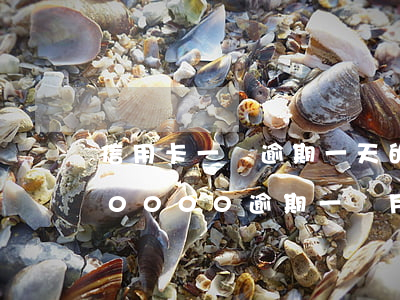 信用卡一萬逾期一天的利息是多少(信用卡10000逾期一個月要多少錢)