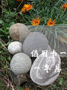 信用卡一萬逾期一年利息多少-一萬元逾期一年具體還多少錢