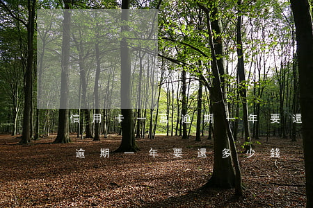 信用卡一萬逾期一年要還多少錢(信用卡一萬逾期一年要還多少錢)