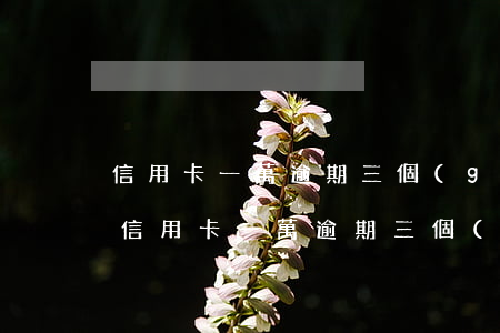 信用卡一萬逾期三個(gè)月利息多少-信用卡一萬逾期三個(gè)月利息多少錢