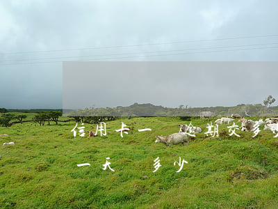 信用卡一萬逾期交多少罰款(信用卡1萬逾期一天罰多少)