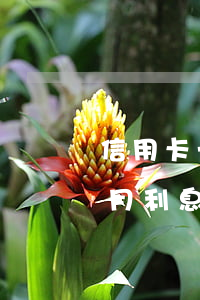 信用卡一萬逾期兩個月(信用卡一萬逾期兩個月利息多少)