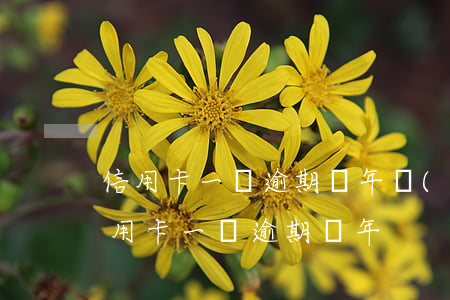 信用卡一萬逾期兩年會(huì)怎么樣（信用卡 一萬逾期兩年）