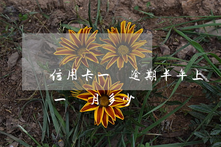 信用卡一萬逾期半年上門嗎(1萬信用卡逾期一個月多少錢)