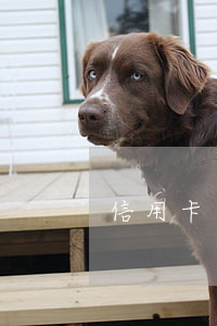 信用卡一萬逾期半年會坐牢嗎