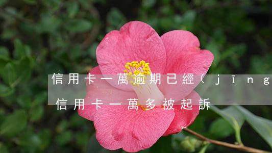 信用卡一萬逾期已經(jīng)被起訴(欠信用卡一萬多被起訴)