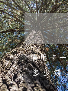 信用卡一萬逾期房貸(1萬信用卡逾期一個月多少錢)