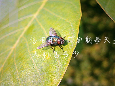 信用卡一萬逾期每天多錢 信用卡1w逾期一天利息多少