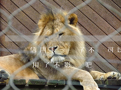 信用卡一輩子不還可以嗎(信用卡還完以后不用了不影響吧)