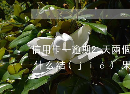 信用卡一逾期2天 兩個月信用卡逾期不還有什么結(jié)果