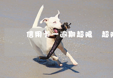 信用卡一逾期超限費(超限 信用卡)