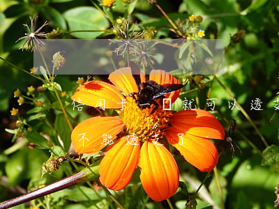 信用卡一開就可以透支嗎(為什么信用卡突然不能透支了)