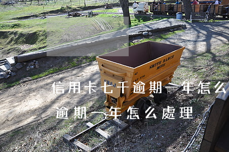 信用卡七千逾期一年怎么辦(信用卡7000逾期一年怎么處理)