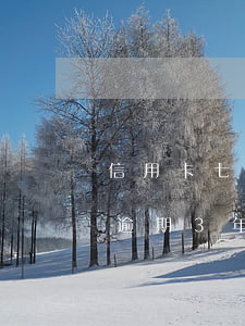 信用卡七千逾期兩年(信用卡7萬(wàn)逾期3年)