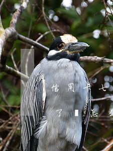 信用卡七年沒還了會怎么樣(信用卡七年沒還了會怎么樣)