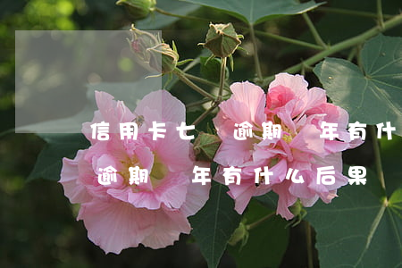 信用卡七萬逾期兩年有什么后果(信用卡七萬逾期兩年有什么后果)