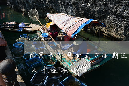 信用卡万用金五万逾期还不上-5万本金信用卡逾期4年
